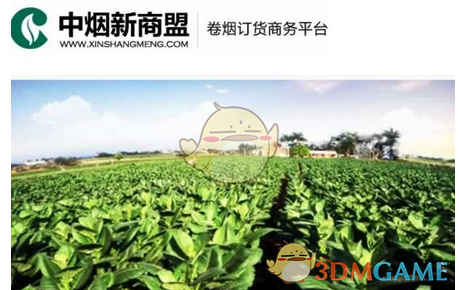 如何看待全红婵进入暨南大学保送名单，优秀运动员进大学，能对其退役后的生活做到兜底保障吗？